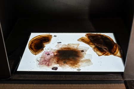 054 TAJ07989　ToLoLo