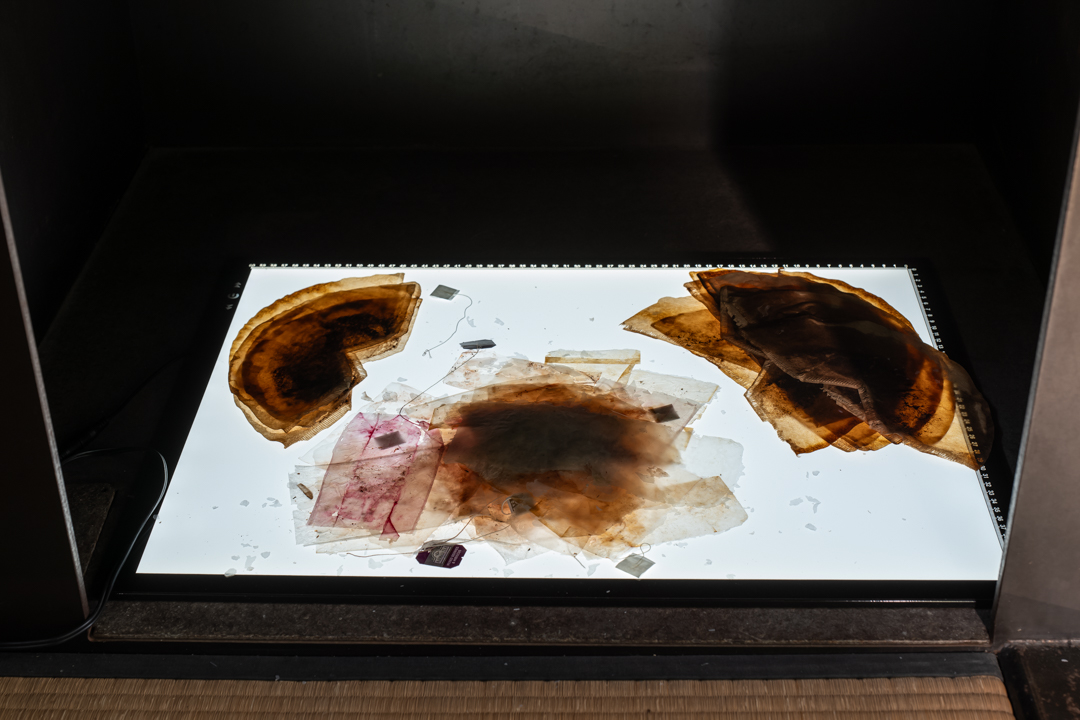 054 TAJ07989　ToLoLo