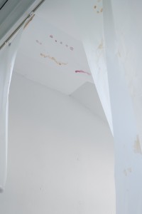 041 TAJ08001　ToLoLo