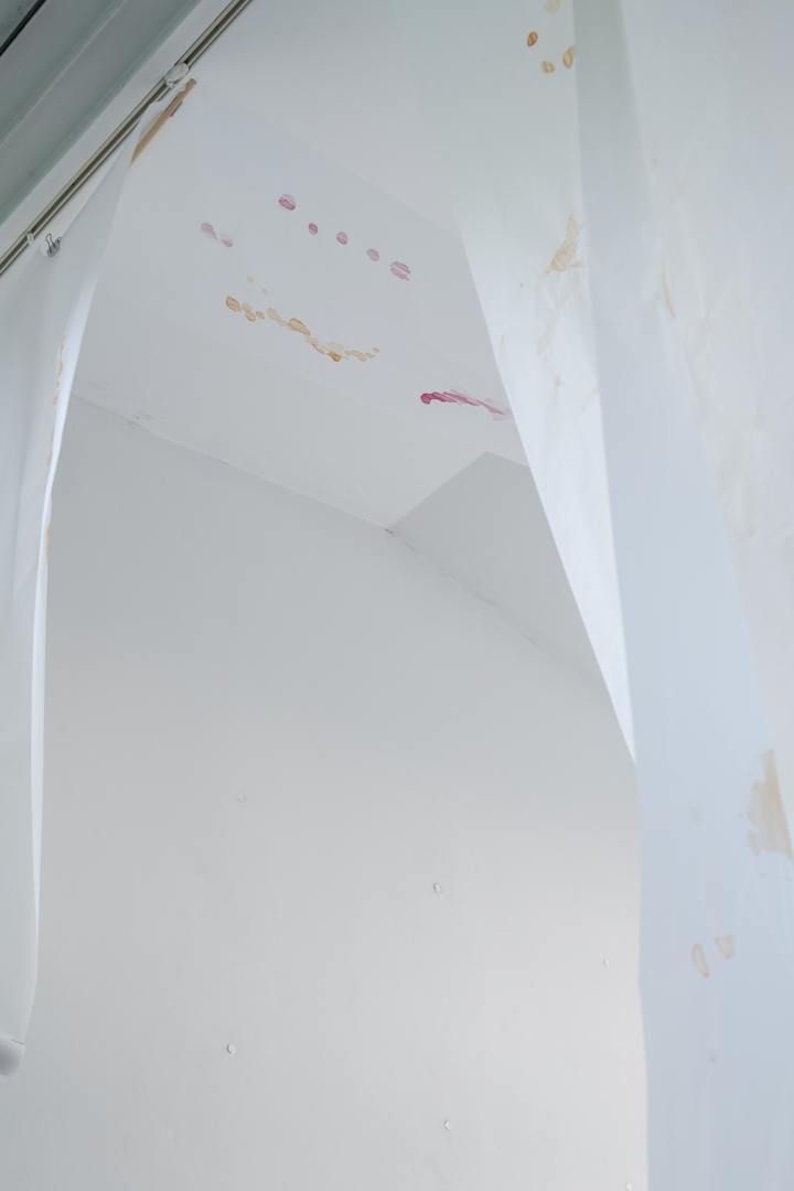 041 TAJ08001　ToLoLo