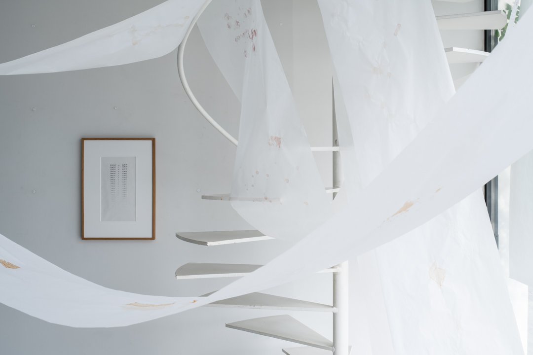 014 TAJ07846　ToLoLo