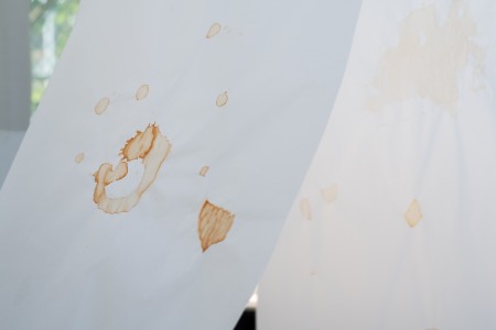 039 TAJ07953　ToLoLo