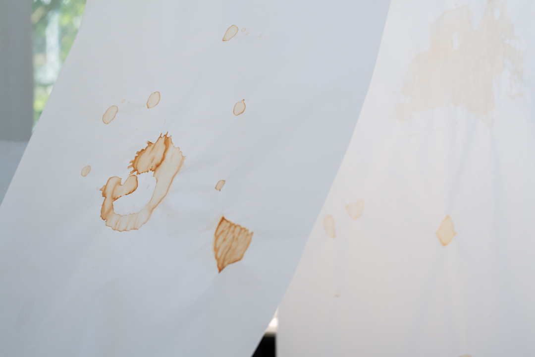 039 TAJ07953　ToLoLo