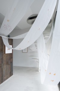 011 TAJ07855　ToLoLo