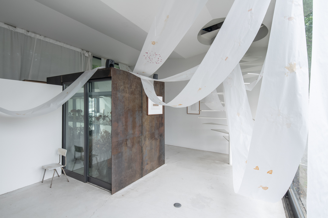 009 TAJ07858　ToLoLo