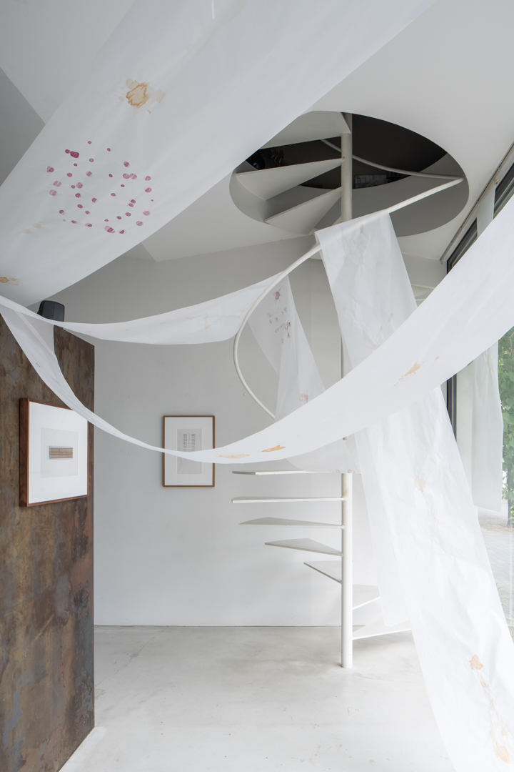 016 TAJ07849　ToLoLo