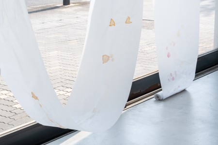 026 TAJ07903　ToLoLo