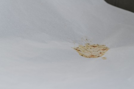 040 TAJ07956　ToLoLo