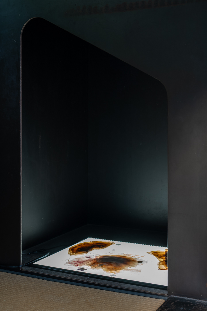 053 TAJ07998　ToLoLo