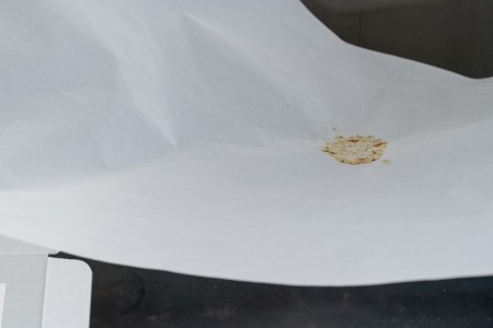 037 TAJ07944　ToLoLo