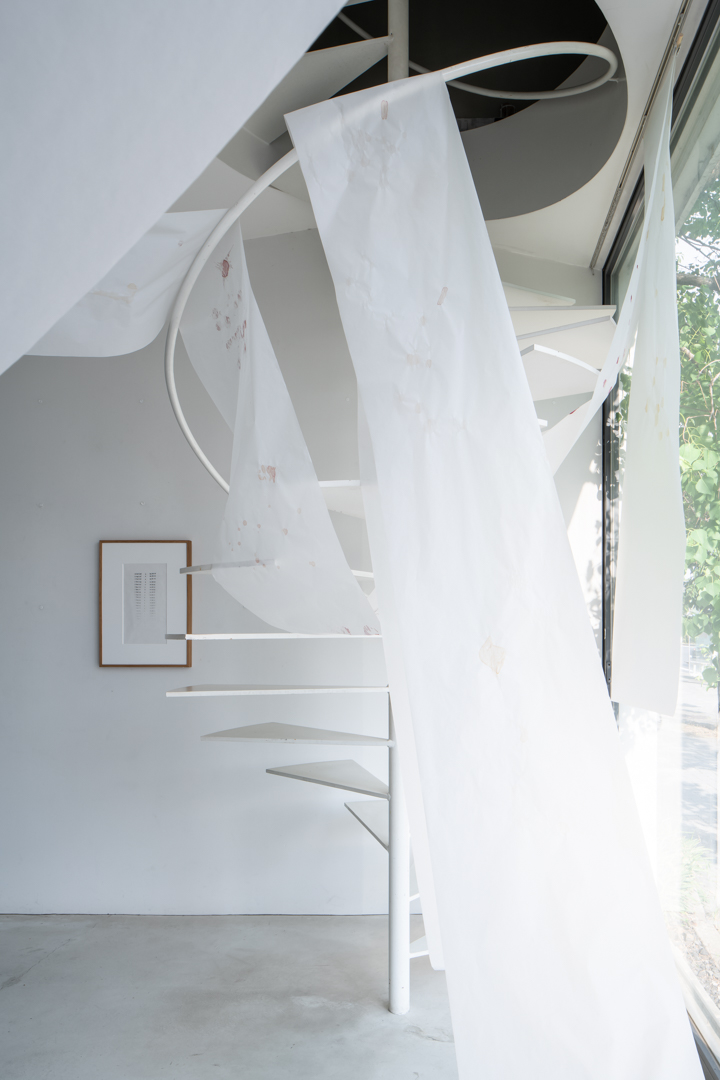 019 TAJ07870　ToLoLo