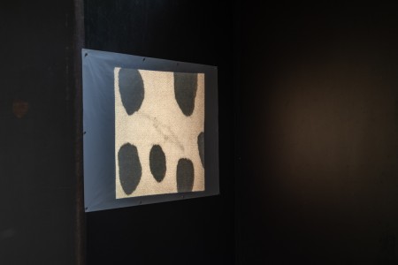 044 TAJ07959　ToLoLo