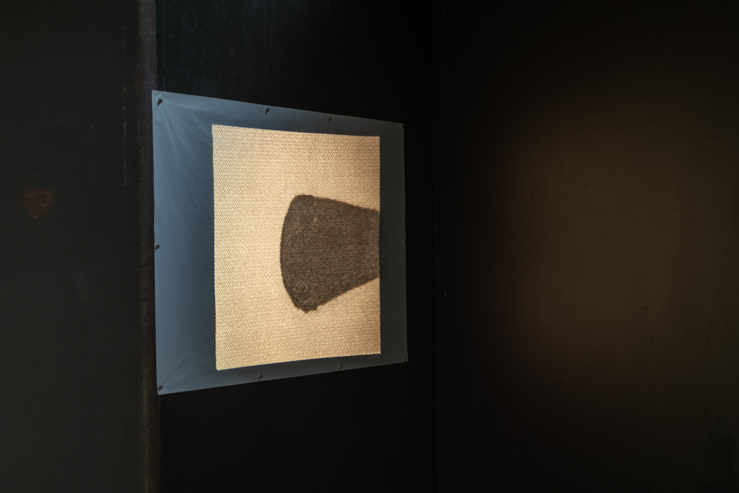 045 TAJ07962　ToLoLo