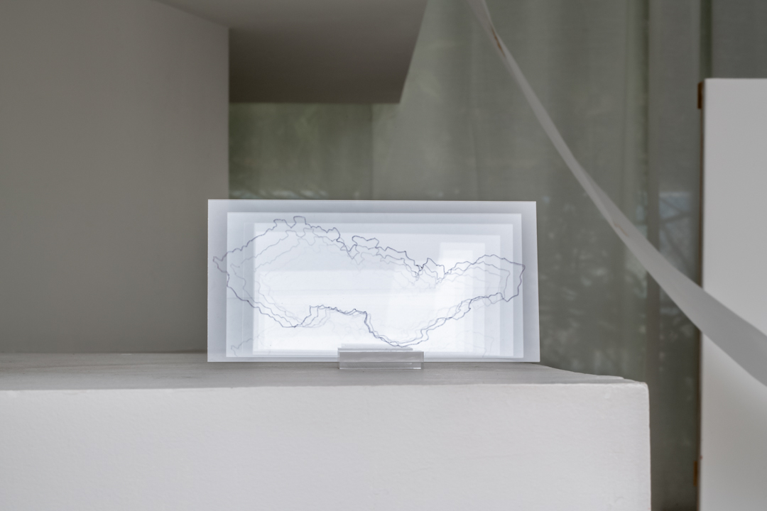 008 TAJ07862　ToLoLo