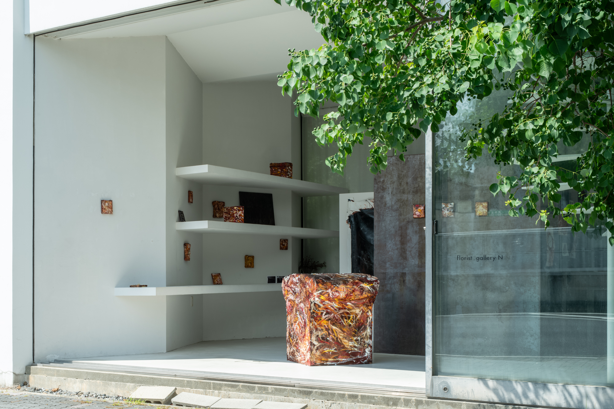 024ARA08088 ToLoLo studio