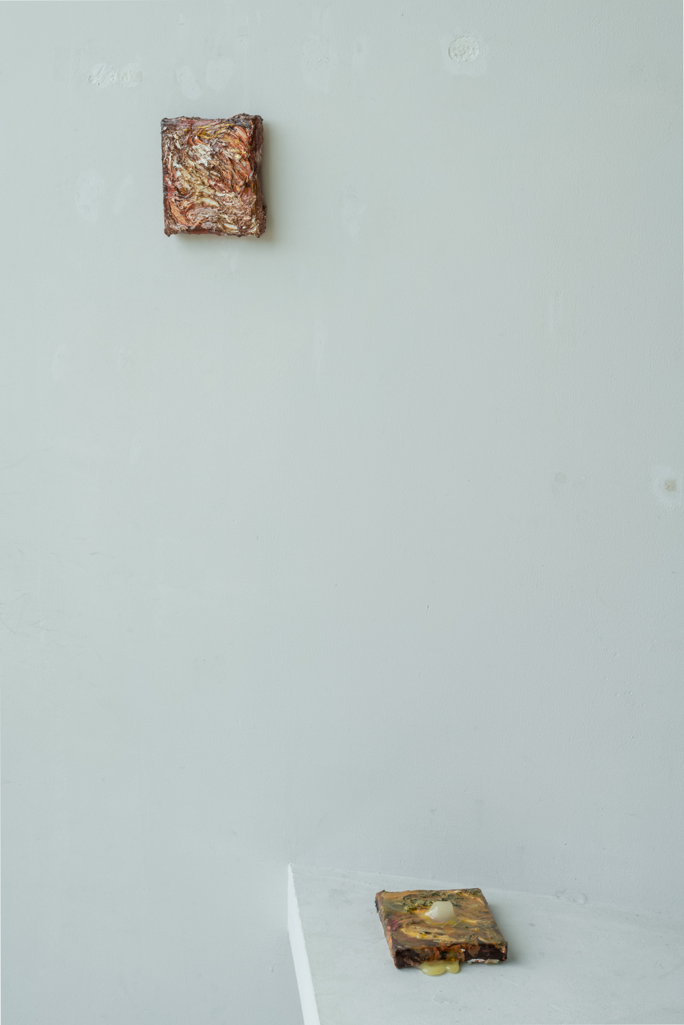 037ARA08256 ToLoLo studio