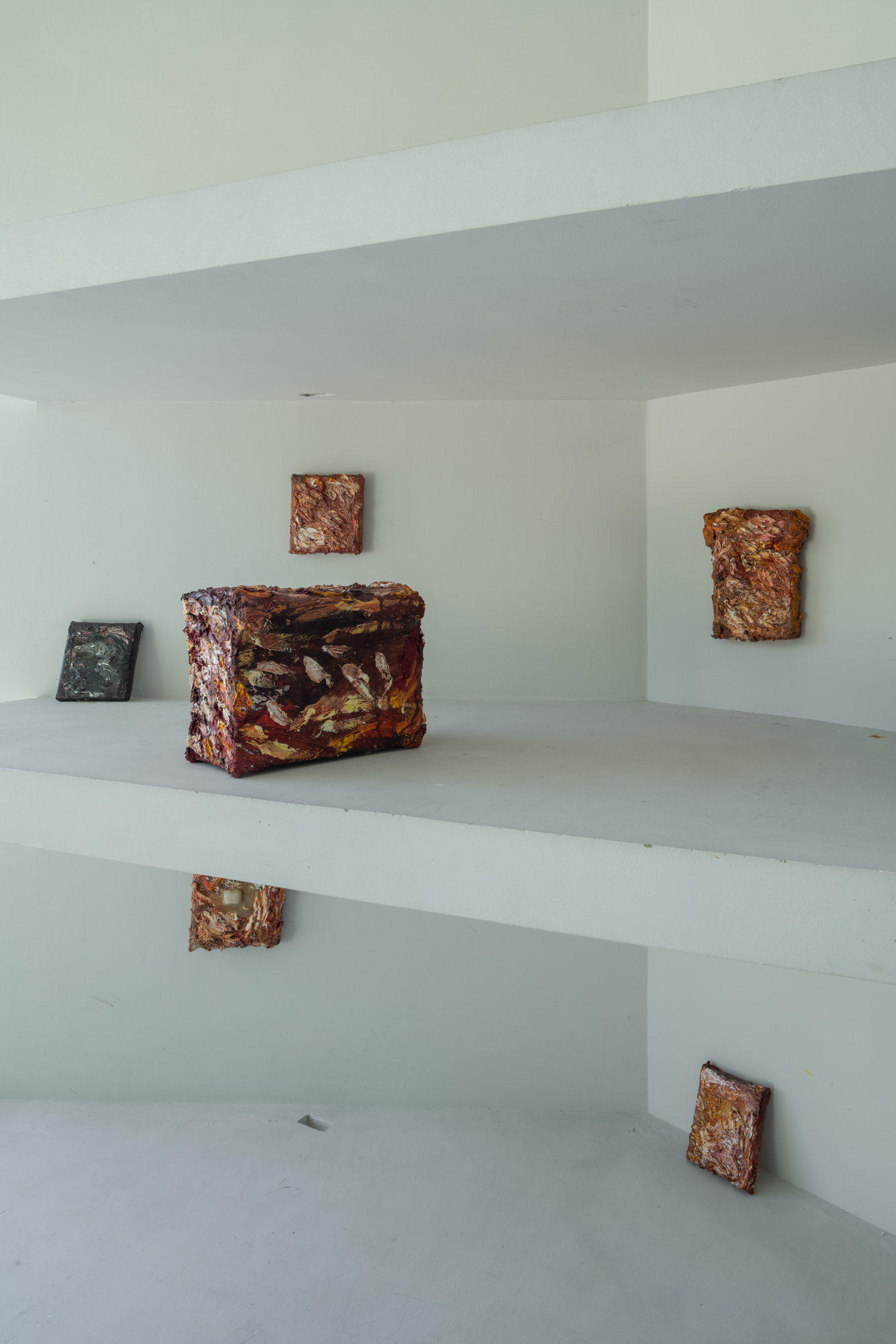 045ARA08232 ToLoLo studio