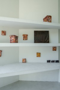 046ARA08229 ToLoLo studio