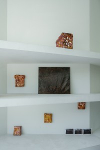 047TAJ04863 ToLoLo studio