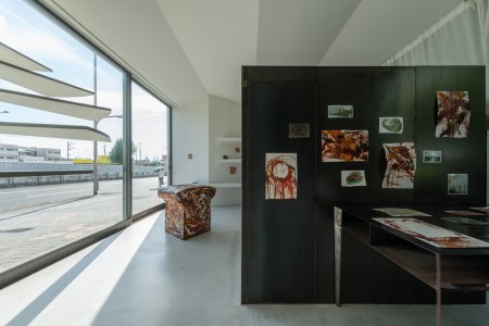 094TAJ04917 ToLoLo studio